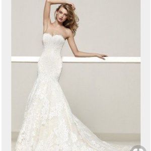 Pronovia Barcelona Druida! Excellent condition!